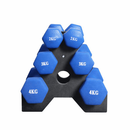 เซ็ตดัมเบล HOMEFITTOOLS ดัมเบล 3 คู่ SET 2/3/4 KG. สีน้ำเงิน_0
